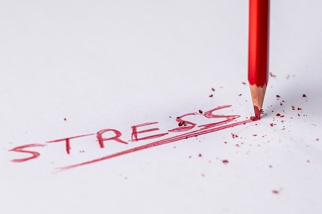 究極のストレス撃退法